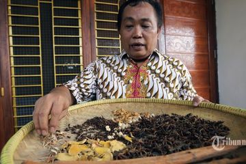 Pengurus Partai  Politik Tak Mau Ketinggalan  Meracik Jamu Penangkal Virus Corona Dari Kembang Lawang, 'Demi Indonesia Bisa Bebas dari Covid-19'