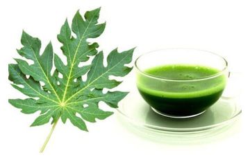 Ngapain Habis Biaya Obat Cuma Rutin Minum Daun Pepaya Wanita Ini Loncat Kegirangan Melihat Hasilnya Setiap Bangun Tidur Semua Halaman Sajian Sedap