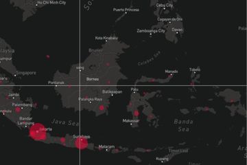 Peta sebaran virus corona di Indonesia.