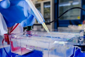 Laboratorium flu burung jadi tempat pengembangan vaksin virus corona