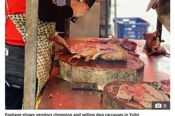 Pasar di China jual daging anjing.