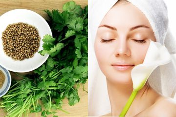 Manfaat Ketumbar Untuk Wanita Bikin Kulit Makin Cantik Dan Bercahaya Semua Halaman Intisari