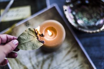 Rasakan Sensasi dan Nikmatnya  Healing dan Aromatherapy Daun Salam Bakar