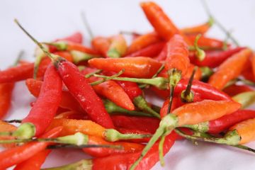 Terbongkar Cara Simpan Cabai Agar Tidak Cepat Busuk Dijamin Tetap Segar Sampai 3 Bulan Cuma Dengan Langkah Mudah Ini Semua Halaman Sajian Sedap