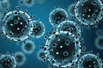 Peneliti ciptakan kalkulator daring untuk mengunkur rsiko kematian akibat virus corona.