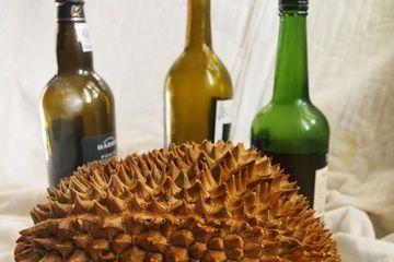Buat Minuman untuk Bunuh Bakteri, Peneliti Ini Campurkan Durian dan Alkohol Sebagai Minuman Probiotik