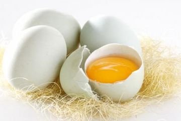 Wajib Tahu Telur Bebek Ternyata Miliki Manfaat Lebih Banyak Dari Telur Ayam Pantas Saja Harganya Mahal Semua Halaman Sajian Sedap