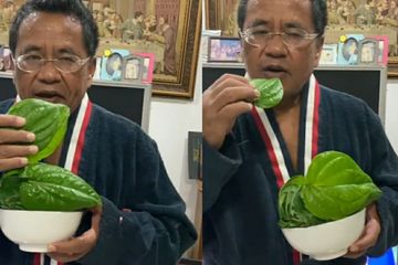 Hotman Paris sarankan makan daun sirih  untuk membunuh virus corona