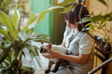 Pecinta Kucing Wajib Tahu Inilah Bagian Tubuh Kucing Yang Boleh Dan Enggak Boleh Disentuh Semua Halaman Kids