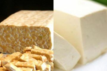 Harga Kedelai Kembali Melambung Tinggi, Pengrajin Tempe dan Tahu Stop Produksi, Padahal 4 Manfaatnya Dibutuhkan Manusia 