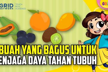 5 Buah Yang Baik Dikonsumsi Di Tengah Pandemi Bisa Meningkatkan Daya Tahan Tubuh Kids