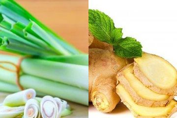 Manfaat air rebusan bawang putih dan jahe