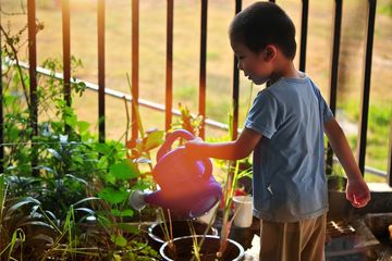 Limbah Dapur Ini Ternyata Bisa Dijadikan Pupuk Organik Simak Cara Mudah Mengolahnya Semua Halaman Kids