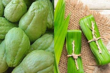 Yuk Lihat Manfaat Rebusan Air Labu Siam 