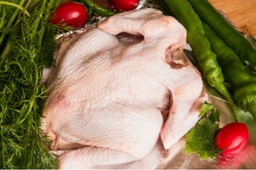 Panduan Mengolah Ayam Potong Agar Sehat dan Higienis Dikonsumsi