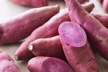 Murah Harganya Siapa Sangka Makan Ubi Rebus Tiap Hari Ternyata Efeknya Gak Main Main Rugi Kalau Gak Tahu Semua Halaman Sajian Sedap