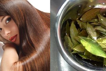 Cuma Bilas Rambut Dengan Air Rebusan Daun Salam Hasilnya Bikin Rambut Terlihat Sehabis Perawatan Salon Semua Halaman Sajian Sedap