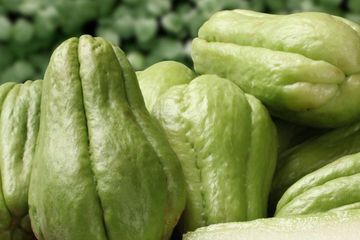 Banyak Yang Tidak Tahu Berikut Ini Cara Memasak Labu Siam Agar Bisa Jadi Obat Alami Berbagai Penyakit Cobain Sekarang Semua Halaman Sajian Sedap Banyak Yang Tidak Tahu Berikut Ini Cara Memasak Labu Siam Agar Bisa Jadi Obat Alami Berbagai Penyakit Cobain Sekarang Semua Halaman Sajian Sedap