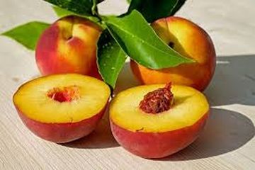 Dalam 100 g buah nectarine mengandung energi, protein, karbohidrat, hingga kandungan baik lainnya. 
