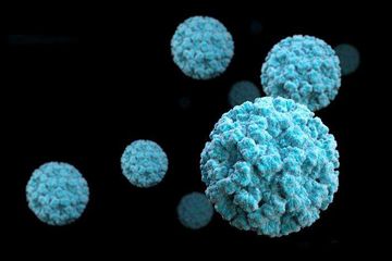 Norovirus belum memiliki obat