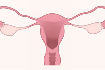 Beragam Macam Masalah Organ Reproduksi Perempuan yang Harus Diketahui, Mulai dari Keputihan Sampai Kista
