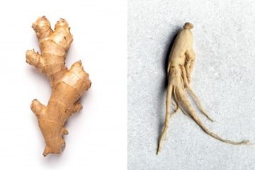 Jahe dan ginseng