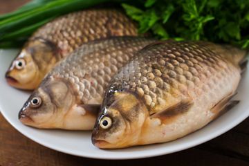Jangan makan ikan berformalin.