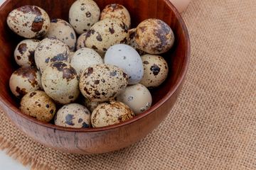 Mengenal berbagai manfaat telur puyuh bagi kesehatan.