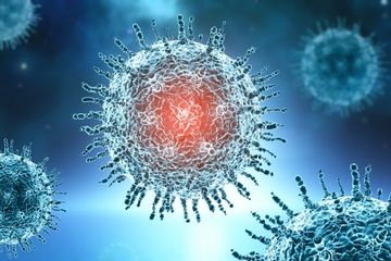 Jenis virus baru mirip dengan SARS Cov-2 atau covid-19 ditemukan oleh seorang mahasiswa jurusan ekologi di Inggris.