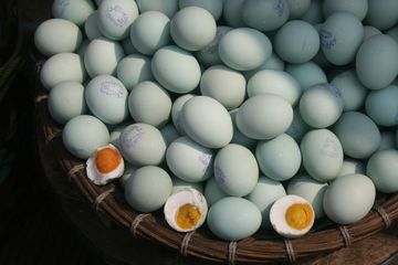 Dikira Sehat dan Bawa Manfaat, Siapa Sangka Telur Bebek Miliki Efek Samping  pada Tubuh, No 2 Jadi Momok Ibu-Ibu! - Semua Halaman - Sajian Sedap