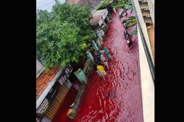 Fenomena Aneh dan Langka, Air Banjir di Pekalongan Berwarna Merah, Warga:  Biasanya Tidak Pernah Terjadi - Semua Halaman - Grid Hot