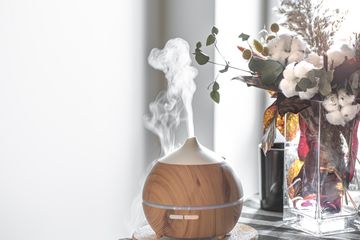 Jangan Salah Lagi Kenali Perbedaan Diffuser Humidifier dan