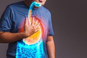 Kunyit Untuk Asam Lambung Dan 7 Manfaat Kesehatan Daun Pepaya Semua Halaman Grid Health
