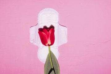 Survei memperlihatkan, hanya setengah murid perempuan yang mengganti pembalutnya secara teratur.