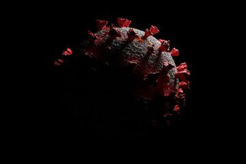 Virus corona varian california yang lebih berbahaya.