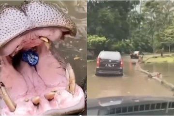Alasan Polisi Tak Menahan Khadijah, Pelempar Sampah Plastik ke ...