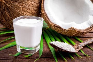 Banyak bahan pengganti santan yang tersedia untuk masakan Idul Fitri.