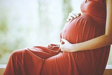 Ketika Malaria Menginfeksi Plasenta Selama Kehamilan, Kekebalan Bayi di Masa Depan Dapat Terpengaruh