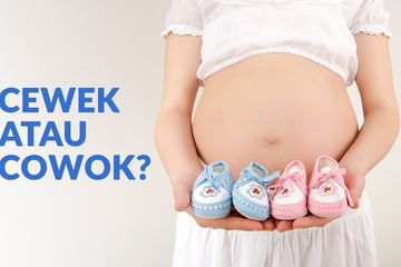 Menebak jenis kelamin bayi dalam kandungan
