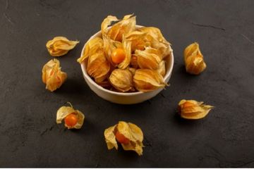 Cukup mudah untuk membuat ramuan herbal ciplukan untuk obat diabetes melitus