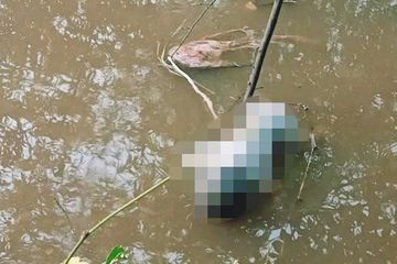 Hamil Bayi Laki Laki Hasil Hubungan Di Luar Nikah Dengan Pacar Dari Desa Sebelah Siswi Sma Ini Nekat Buang Sang Buah Hati Di Sungai Samping Rumah Tali Pusar Masih Menempel Saat Bayi Ditemukan