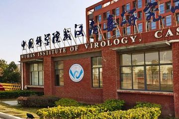 Wuhan Institute Virology