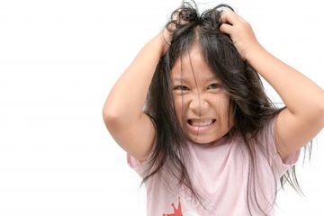 Penyakit infeksi akibat kutu rambut bisa sebabkan masalah kognitif pada anak.