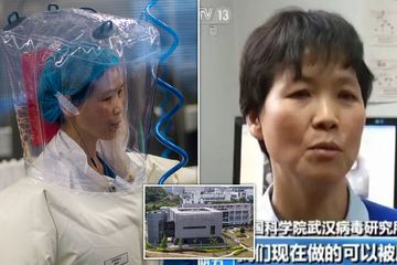 Shi Zhengli Ilmuan Virus No 1 China Lulusan Montpellier Prancis Marah Saat Diwawancara New York Times