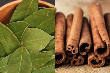 Cuma Minum Rebusan Daun Salam Yang Dicampur Kayu Manis Semua Pasti Langsung Kaget Dengan Khasiatnya Dalam Sekejap Semua Halaman Sajian Sedap