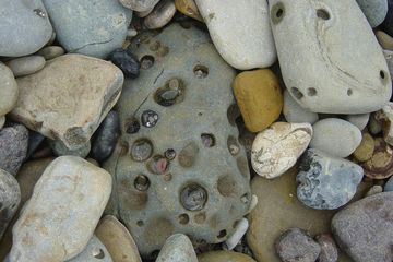 Batuan jenis Mengenal Jenis