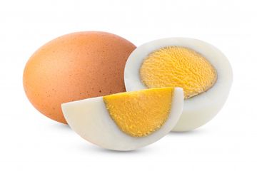 Fungsi sebagai putih telur mempunyai Manfaat Telur