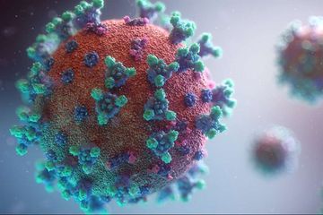 WHO temukan virus Covid-19 varian baru bernama Lambda yang ditemukan Juni 2021 di Amerika Selatan. 