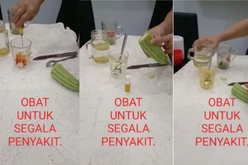 Hanya di Indonesia, Air Rebusan Pare Dicampur Obat Luka Jadi Obat Penurun Kolesterol 