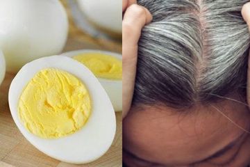 Berita Populer Manfaat Makan Telur Rebus Sebelum Tidur Sampai Mengatasi Uban Cukup Dengan Jeruk Semua Halaman Sajian Sedap